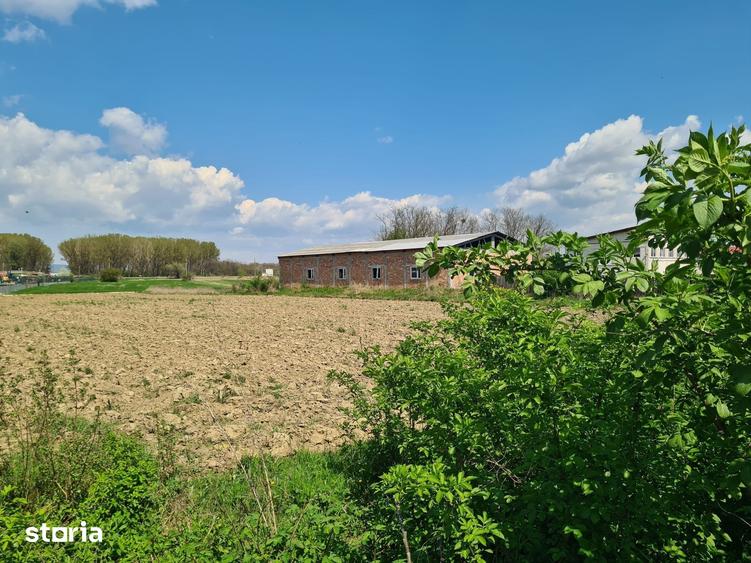 Teren de 5656 mp, în Mihăești