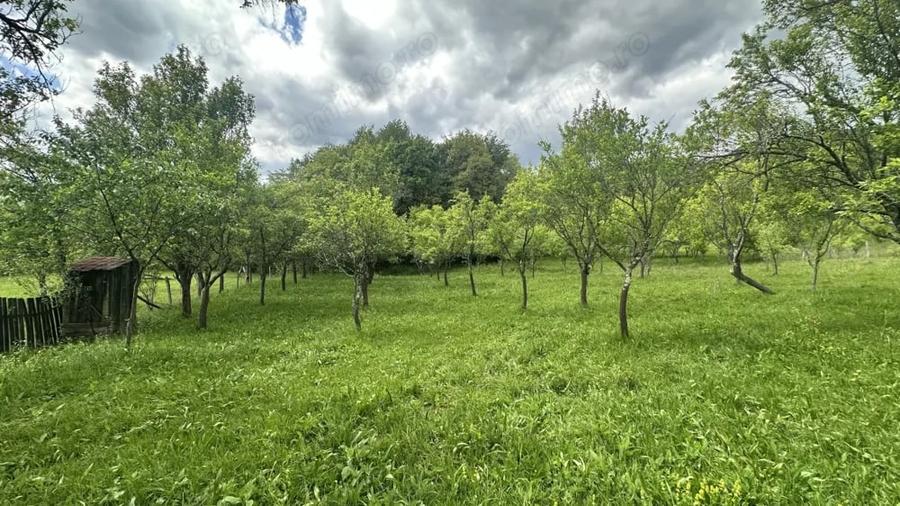 Teren de 3102 mp, în Blănoiu