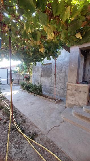 Casă cu Teren 690 Mp în Central
