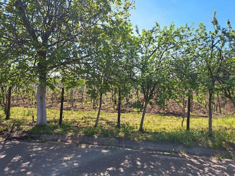 Teren de 3211 mp, în Merei