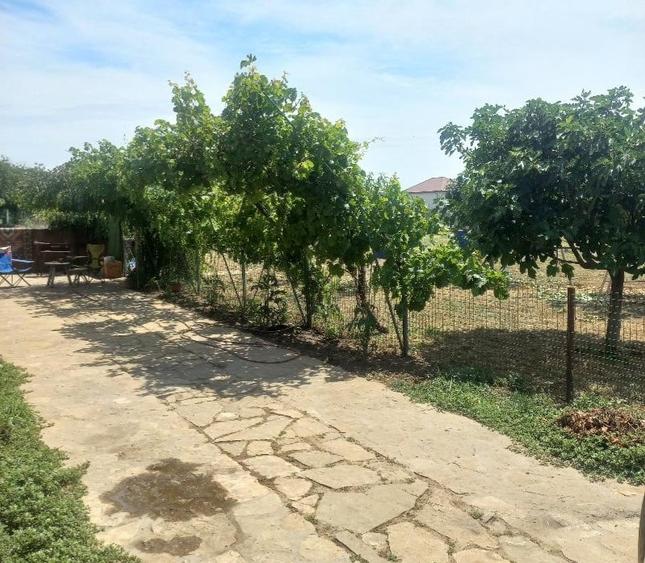Casă individuală cu 3 camere cu Canalizare în Mihail Kogălniceanu