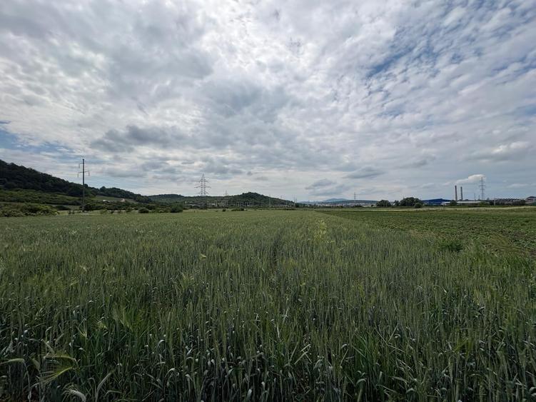 Teren Construcții intravilan de 4200 mp, în Crișeni