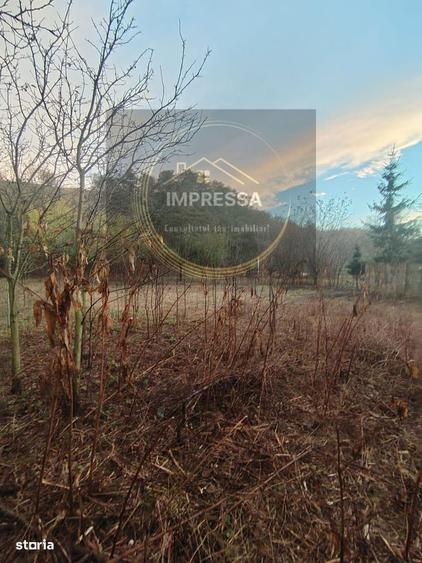 Casă cu 4 camere cu Teren 1900 Mp în Dornești