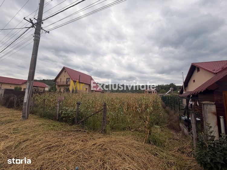 Teren pretabil unei construc?ii de vis - Babana - zona cu padure - 4