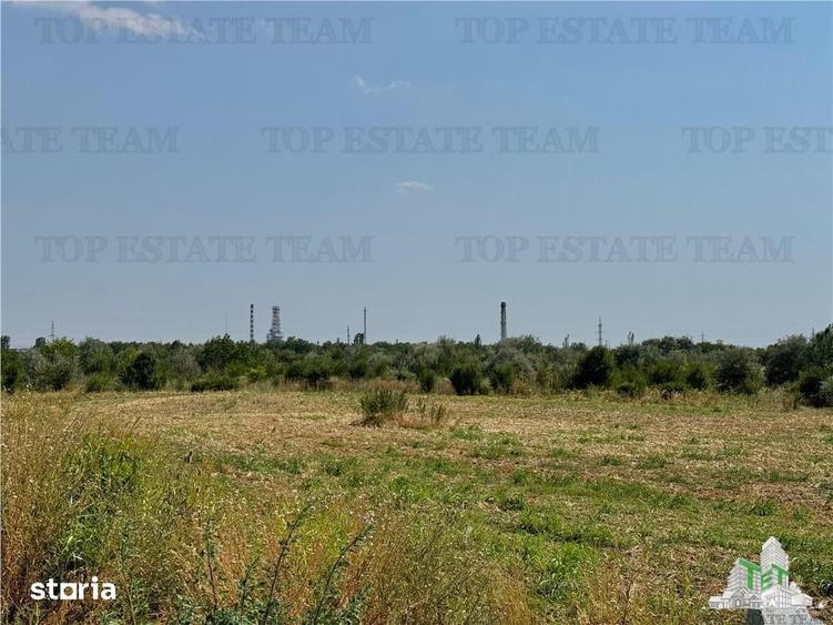 Teren de 5000 mp, în Central