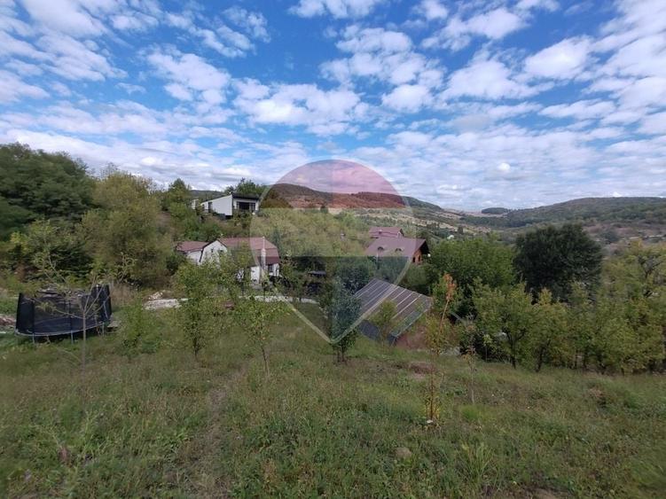 Teren Construcții intravilan de 5474 mp, în Provița de Jos