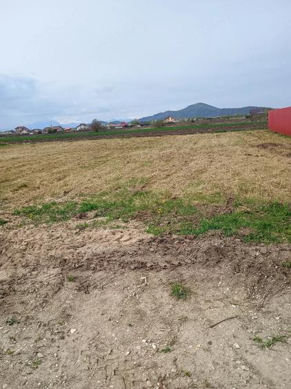 Teren de 1000 mp, în Hărman