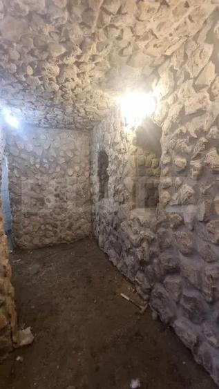 Casa plan parter cu beci - Lunca Cetatuii - 13