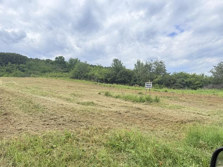 Teren de vanzare - Jud Sibiu, comuna Cristian, extravilan - 7