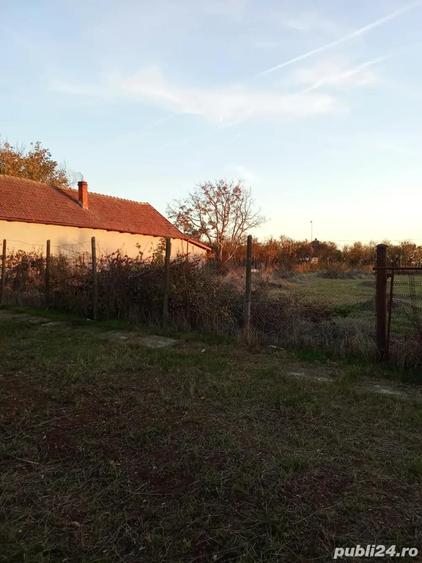 Teren de 1500 mp, în Șagu