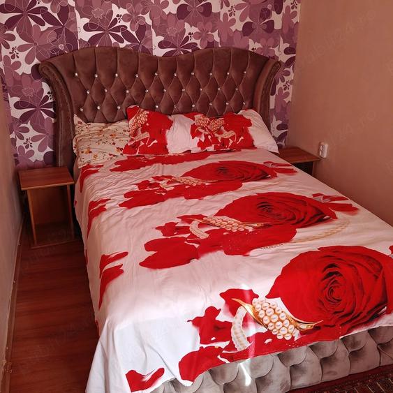 Apartament cu 2 camere semidecomandat în Valea Rosie