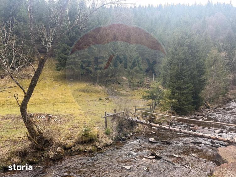 Teren de 4331 mp, în Arieșeni