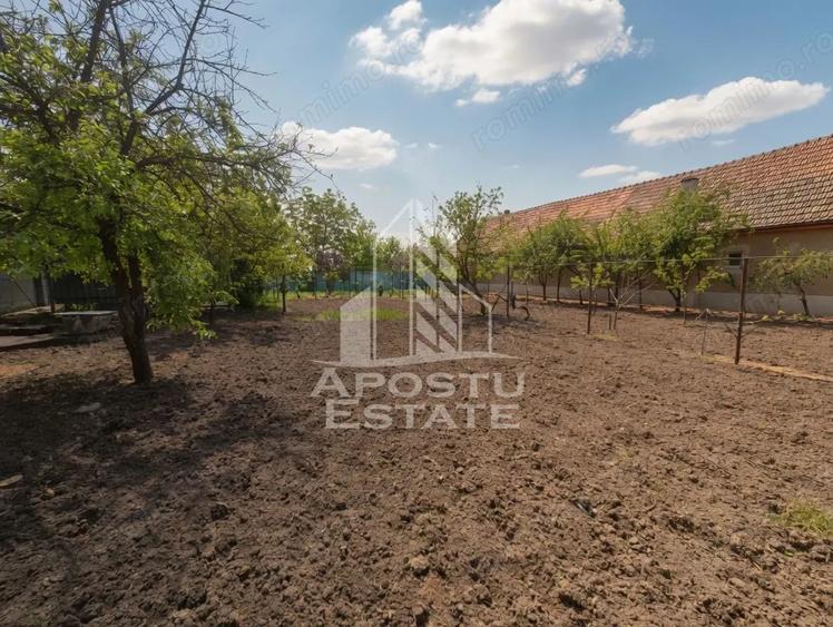 Casă cu 4 camere cu Teren 1450 Mp în Satchinez
