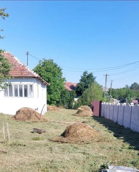 Casă cu 3 camere cu Teren 1350 Mp în Cervenița