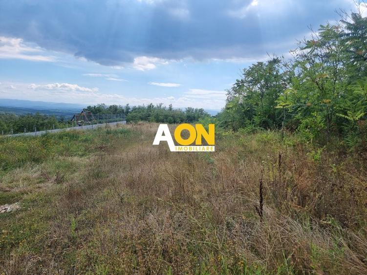 Teren Construcții intravilan de 1091 mp, în Cetate