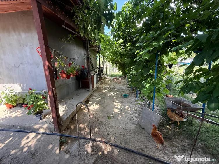 Casă cu 3 camere în Platonești