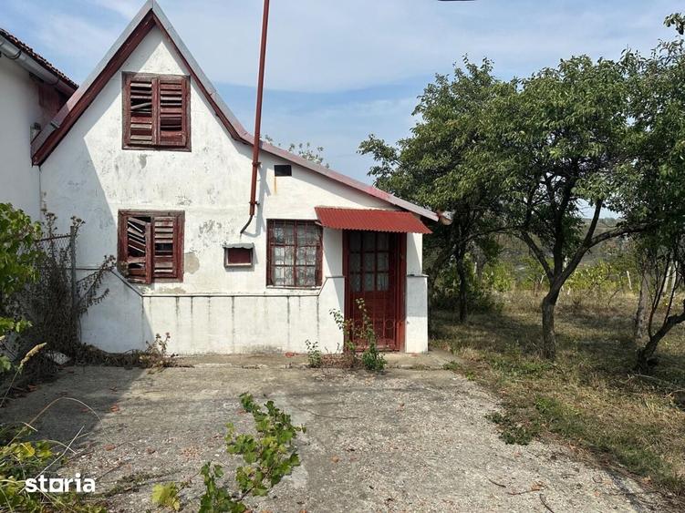Teren de 1665 mp, în Podgoria