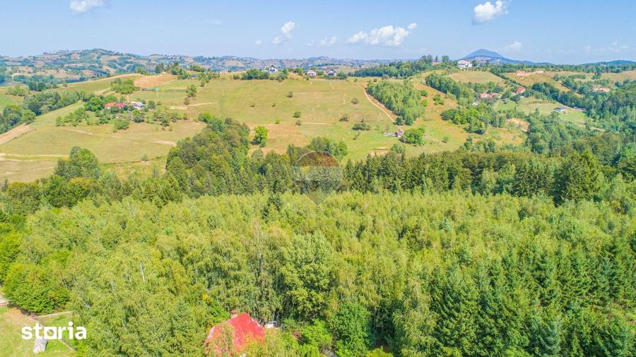 Teren de 1674 mp, în Poiana Mărului