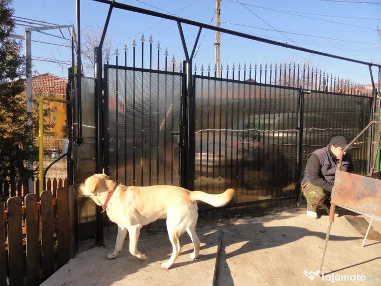 Casă cu 3 camere cu Teren 600 Mp în Brănești
