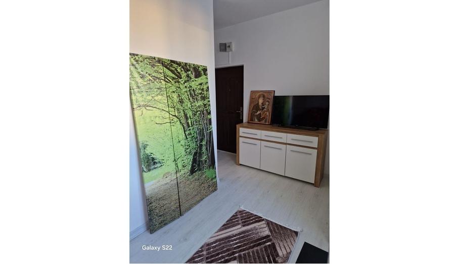 Garsonieră în Pantelimon