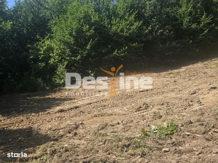 Teren Valea Doftanei, zona Pe Vale - Baraj Paltinu - 2