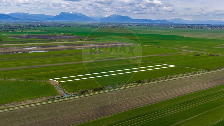 Teren agricol extravilan de 4000 mp, în Stupinii Prejmerului
