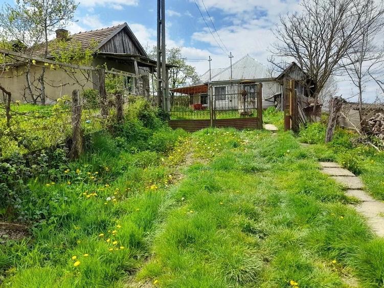 Casă cu Teren 3096 Mp în Boianu Mare