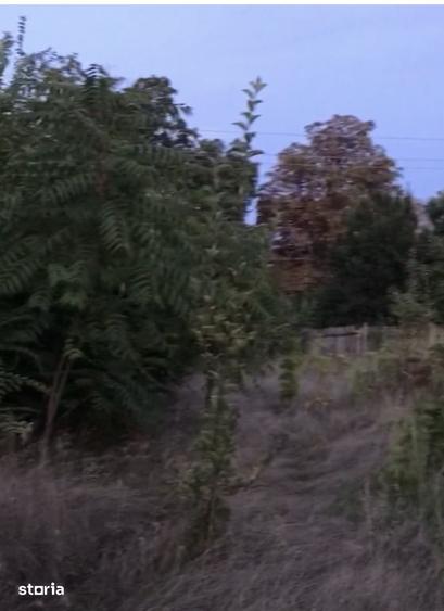 Teren de 1500 mp, în Central