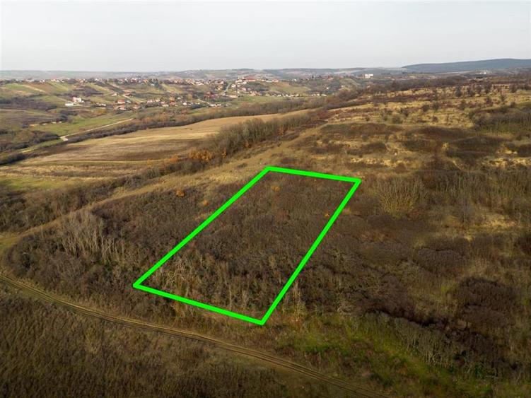 Teren Construcții intravilan de 4278 mp, în Uileacu de Munte
