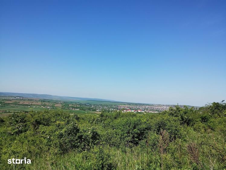 Teren de 350 mp, în Bârnova