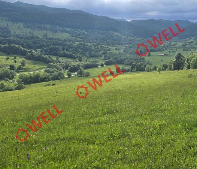 Teren agricol extravilan de 9289 mp, în Vama Buzăului