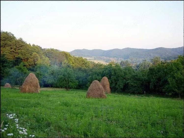 Teren de 7000 mp, în Valea Iașului