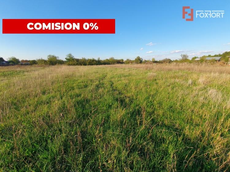 Teren Construcții intravilan de 3346 mp, în Jebel