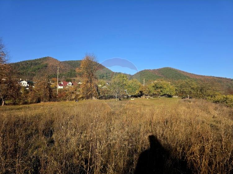 Teren Construcții intravilan de 6874 mp, în Alexandru cel Bun