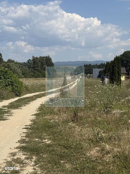 Teren de 500 mp, în Central