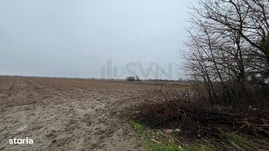 Teren de 4200 mp, în Mogoșani