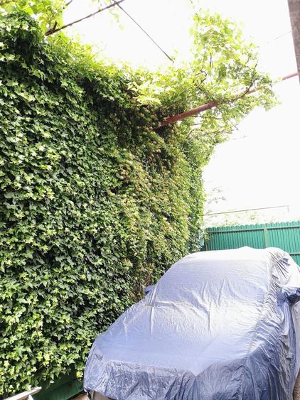 Casă cu 4 camere cu Teren 450 Mp în Berceni