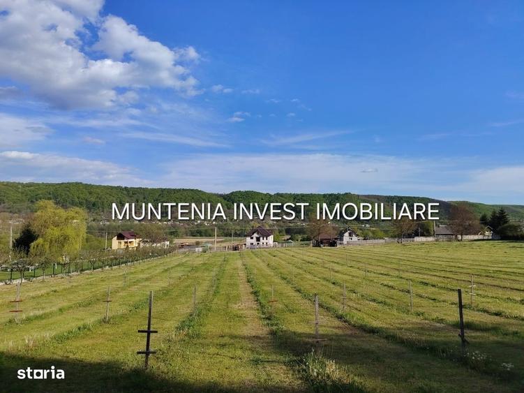 Spațiu comercial, în Albota