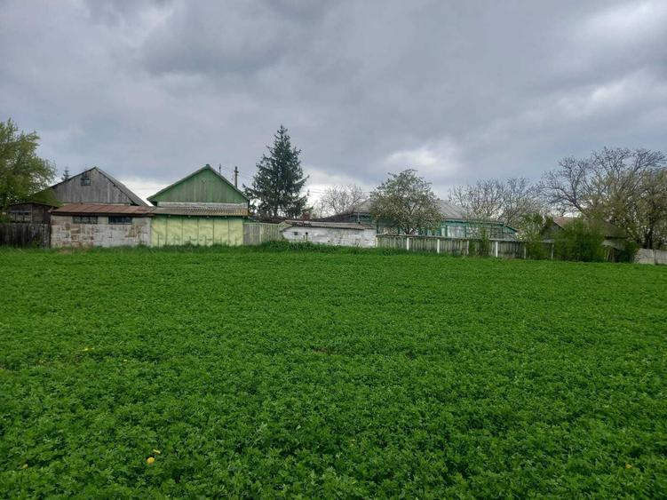 Casă cu 2 camere în Dolina