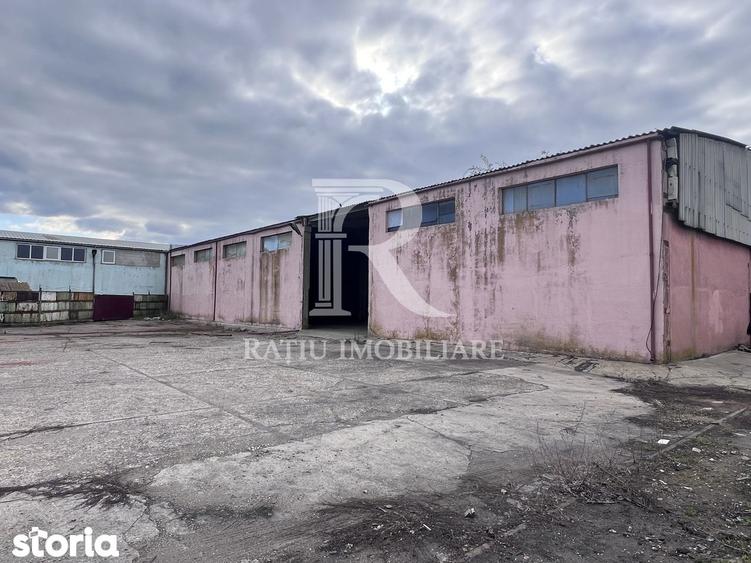 PLATFORMA INDUSTRIALA STRATEGICA IN ORADEA POTEN?IAL OPERATIONAL - 8