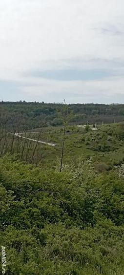 Teren în Gușoeni