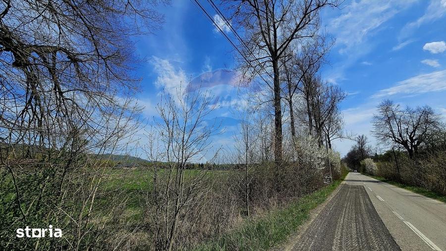 Teren de 10000 mp, în Vânători-Neamț
