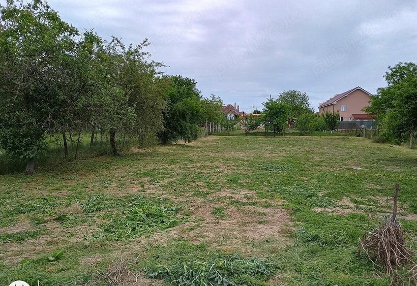 Casă cu 4 camere cu Teren 1300 Mp în Șicula