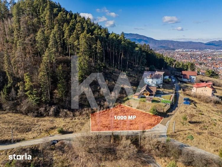 Teren de 1000 mp, în Poiana Angelescu