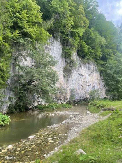 Teren Investitie Turistica Dambovicioara Baranga | 4.500 mp - 3