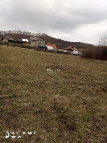 Teren intravilan Valea Ghinzi