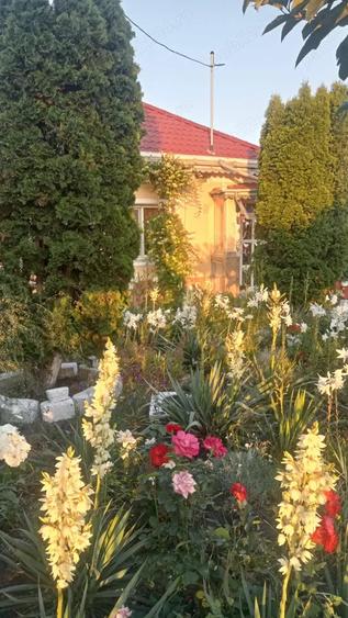 Casă cu 3 camere cu Teren 1500 Mp în Secu