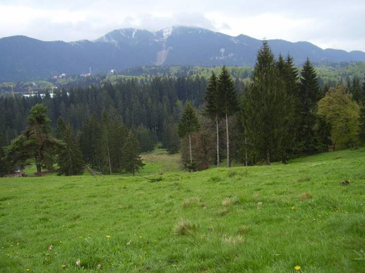 Teren intravilan de 3200 mp, în Poiana Brașov