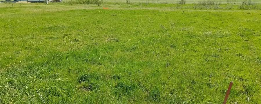 Teren de 425 mp, în Tărtășești