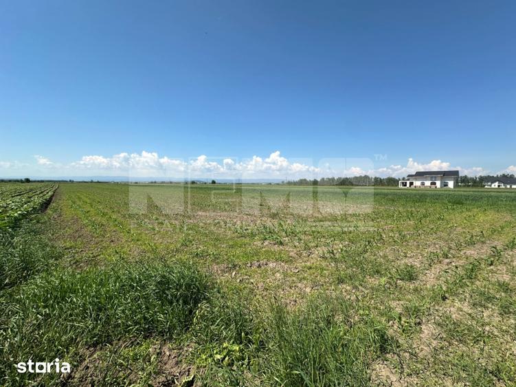 Teren de 5300 mp, în Frătăuții Vechi